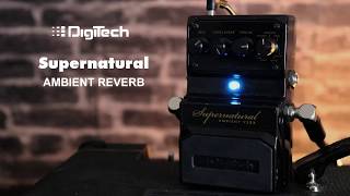 Digitech - SUPERNATURAL Ambient Reverb