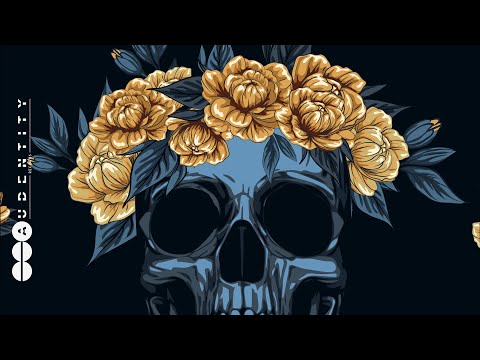 Metal Skull Riddim (Huge Serum Preset Pack by Wubbaduck)