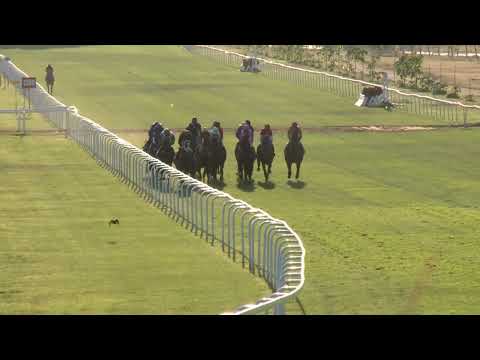 2022.07.03. 11. futam - SZERENCSEJÁTÉK ZRT. - 100. MAGYAR DERBY (HUN Gd-1) (NGL-IV.)