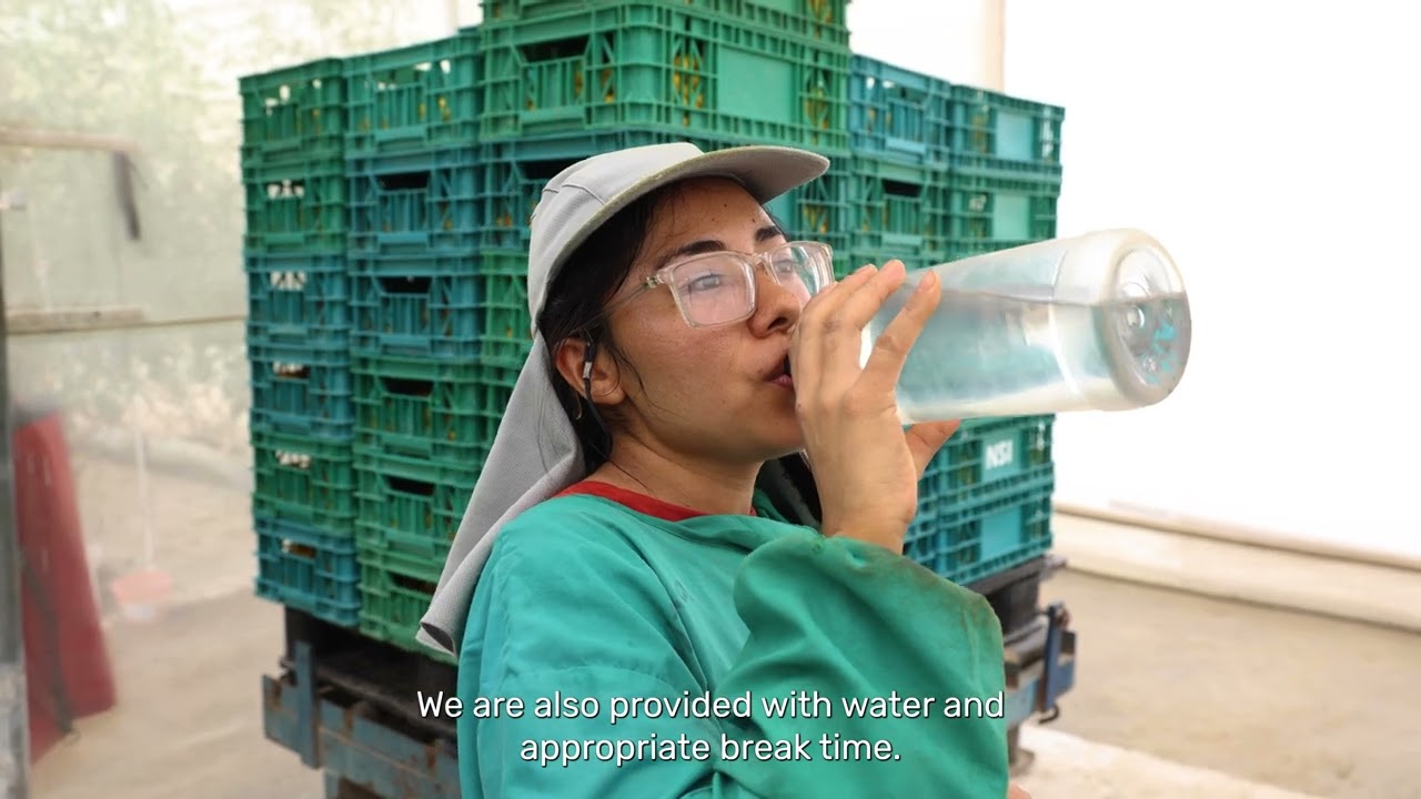 Fair Trade in Action: NatureSweet Strengthens Safety and Stability for Workers