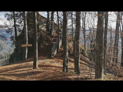 Traseu Poiana Stânei - Stâncile Franz Josef