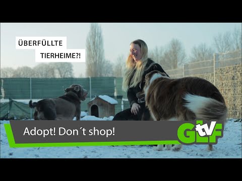 Adopt don't shop - zu Besuch im Tierheim Donaueschingen | GLFtv