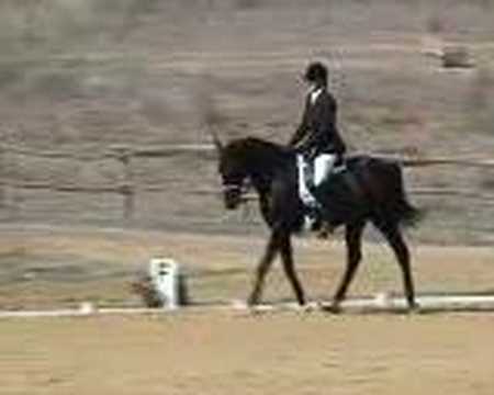 DCD Lucian El Cap Dressage_Test 2_080705