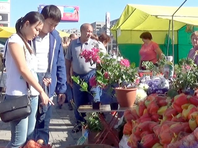 Ярмарки урожая продлятся до конца сентября