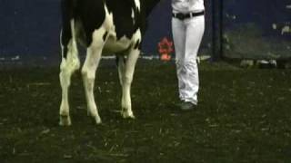 Mecca Normal - Breathing in the Dark