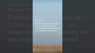 30 de dezembro de 2025