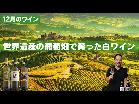 ワイルドワイン「エンゲルマンニ」 植物