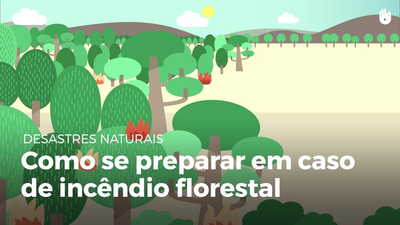 Como se preparar em caso de incêndio florestal | Desastres naturais