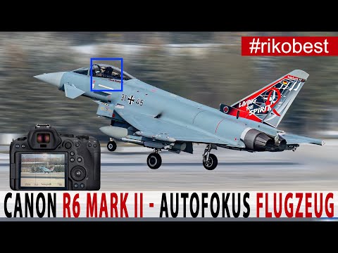 Canon EOS R6 Mark II Autofokus Test mit RF100-400 + Bildbearbeitung in Lightroom und Photoshop