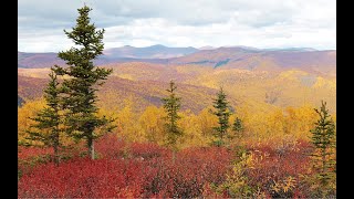 Canada　YUkON 　ユーコン　　 with「 Wind Beneath My Wings」Nana Mouskouri