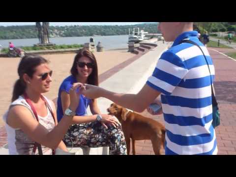 Magicni Trikovi | Transfer karte - [OP Magic]