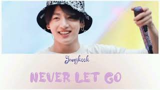 Download lagu BTS Jung KooK(정국) 'Never Let Go' - Lyrics #jungkook #neverletgo #bts #army #xuhuong mp3 Download lagu BTS Jung KooK(정국) 'Never Let Go' - Lyrics #jungkook #neverletgo #bts #army #xuhuong mp3