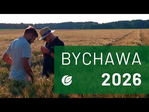 Film na temat: { video.title }}