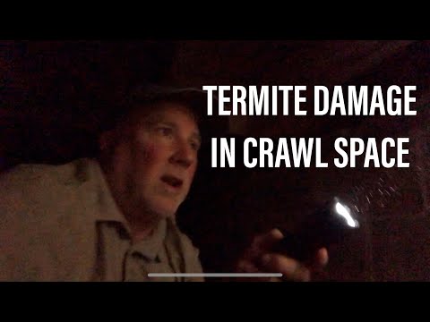 Termite Damage in Crawl Space of Home