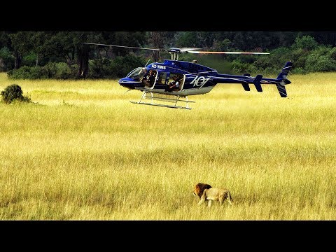 Travel Documentary. Amazing scenic flight over Okavango Delta with Helicopter Horizons. Botswana