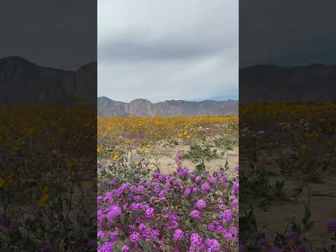 Searching for the perfect thermos jar to keep your meals piping hot for hours?