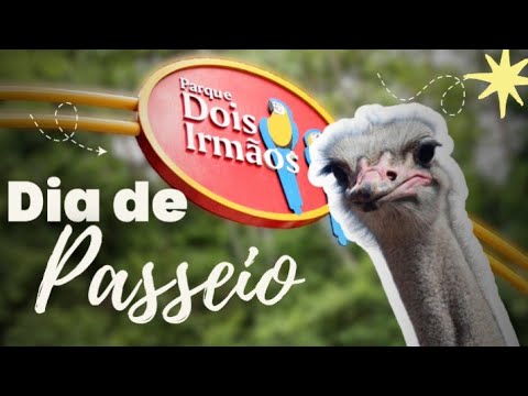 Zoológico de RECIFE - Parque Estadual Dois Irmãos | Praia de Olinda - PE #pernambuco 