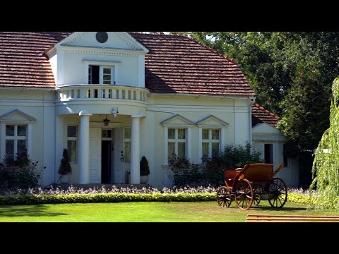 Wesele w plenerze Marity i Kuby