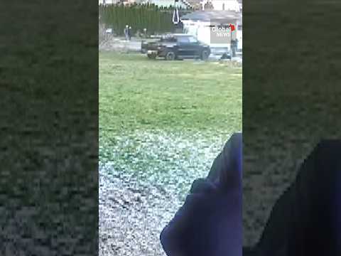 Bc Border Cams