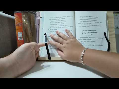 806 Ryder W4 樹屋1：Dinosaurs Before Dark 英文1段