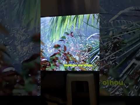 6 de dezembro de 2025