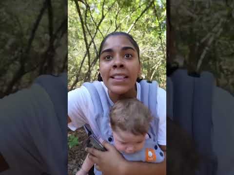 Mom dad and son get attacked by an alligator #shorts