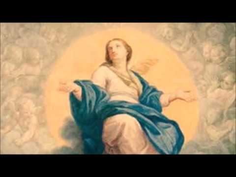 Quem é esta sombra tão bela