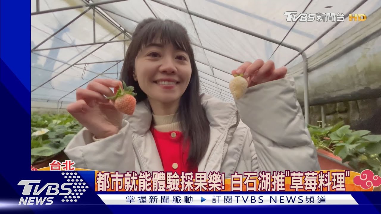 過年走春去哪?高嘉瑜帶路白石湖採草莓