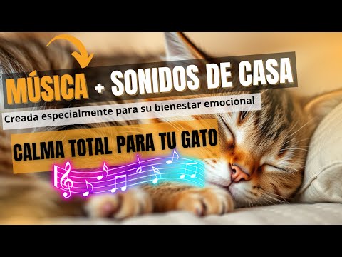 ¡La música que calma a tu Gato desde el primer segundo!¡Esta SÍ es la mejor!