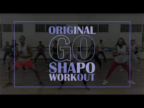 GO SHAPO WR 20.2 #04 - 'HIT'