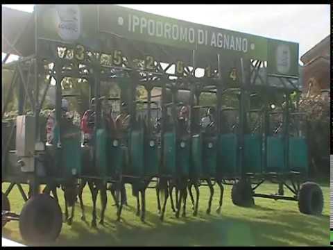 Galoppo 19/06/2020 - 3ª corsa