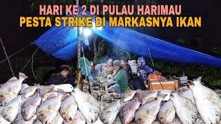 Download lagu HARI KE 2 DI PULAU HARIMAU..!! PESTA STRIKE DI MARKASNYA IKAN mp3 Download lagu HARI KE 2 DI PULAU HARIMAU..!! PESTA STRIKE DI MARKASNYA IKAN mp3