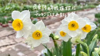 ニャンニャン広東語教室　#4（旧正月の挨拶）