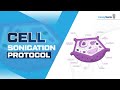 Cell Sonication Protocol