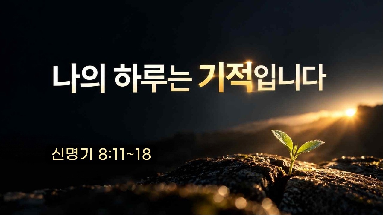나의 하루는 기적입니다.