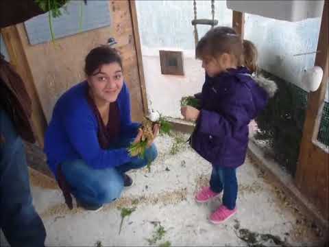 2017 11 18 Besuch aus Moormerland.mp4