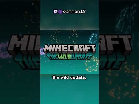 Minecraft 1.19: The Wild Update