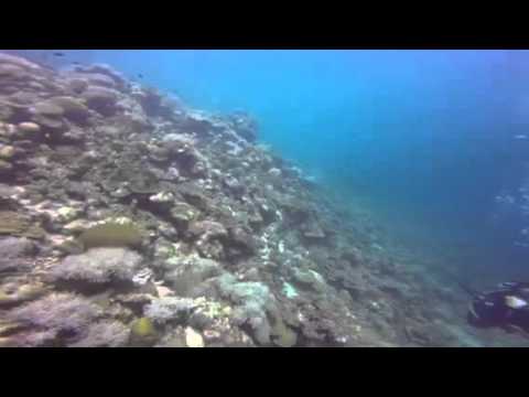 Dynamite Fishing Blast Underwater