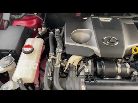 Lexus NX 200T 8AR-FTS Engine Cold Start
