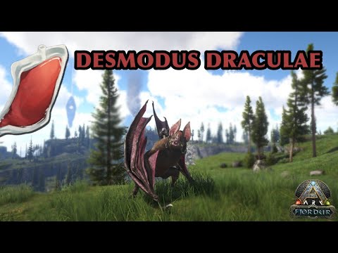 Taming A Desmodus Draculae Vampire Bat! Ark Fjordur