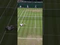 Stefanos Tsitsipas' Perfect 10 Dive ?