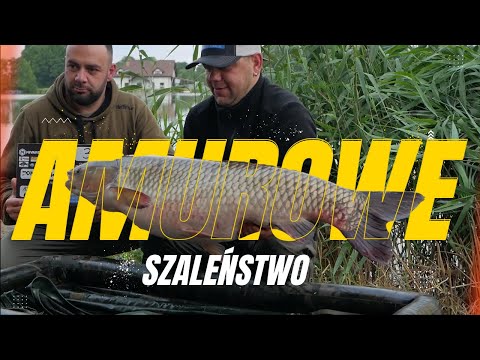 Amurowe szaleństwo na Uroczysku Karpiowym - pełna relacja