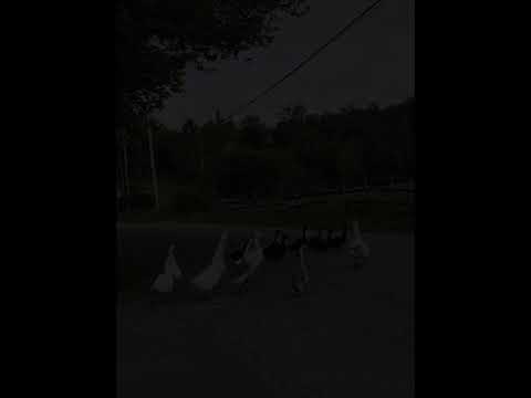 300 Coy Hill Rd Warren, MA 01083 - Single Family - Real Estate - For Sale