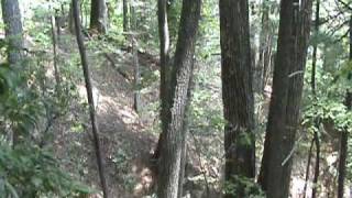 preview picture of video '77 Acres Near Blowing Rock NC (Acreage)'