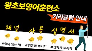 왕초보영어훈련소 사용 설명서 (커리큘럼 안내)