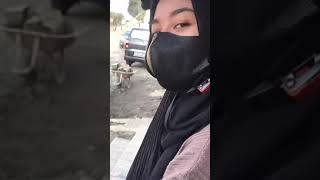 Download lagu Story wa halu mentahan buat manasin mantan -- vidio halu mp3