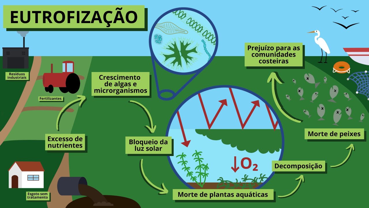 Eutrofização: Impactos e Soluções
