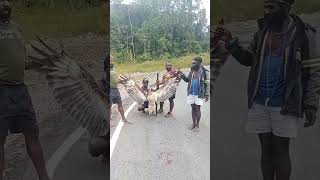 Download lagu burung Garuda Pancasila di temukan di Papua mp3
