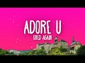 Fred again - adore u (Lyrics)