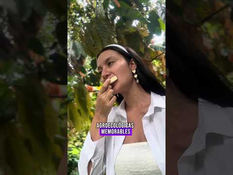 ¿Qué hacer en Cubarral - Meta?